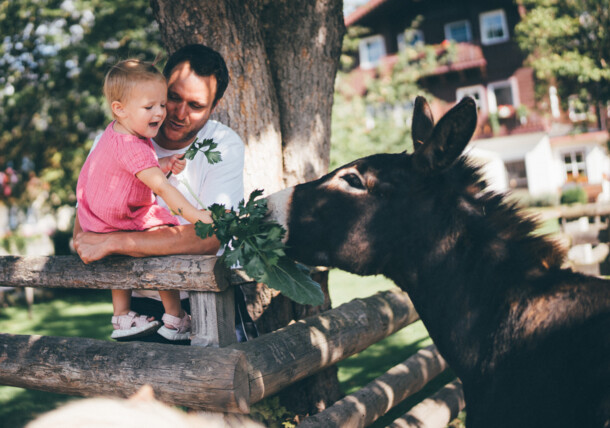     Apuka és gyermeke eteti a szamarat - falusi üdülés Ausztriában 